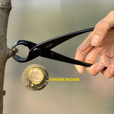 Tondeuse à gazon concave de 21 cm, outils professionnels pour bonsaï, sécateur, couteau de jardin à lame arrondie, ciseaux pour débutants, outils de jardinage (1/5)