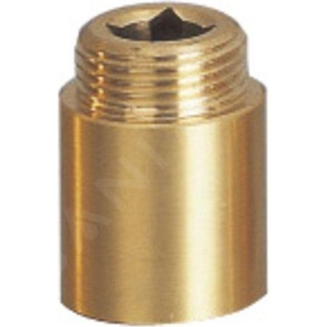 Rallonge de tuyau mâle 1/2"x50mm, laiton (1/2)