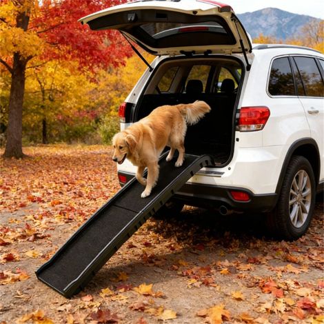 Rampe pliable et portable pour chien, toboggan pour animaux de compagnie, facile d'accès et pratique pour les voyages. (1/5)