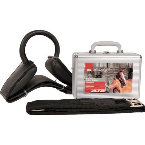 Birth Alarm Premium Completo