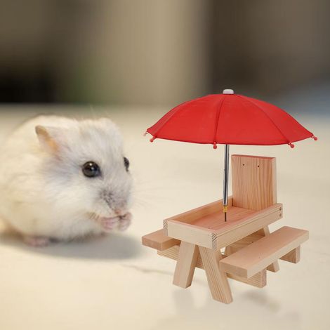 Mangeoire en bois pour écureuils, mangeoire en bois massif pour animaux de compagnie, décoration suspendue pour jardin extérieur, mangeoire à maïs et à noix, mangeoire à oiseaux avec drapeau et paraso (1/5)