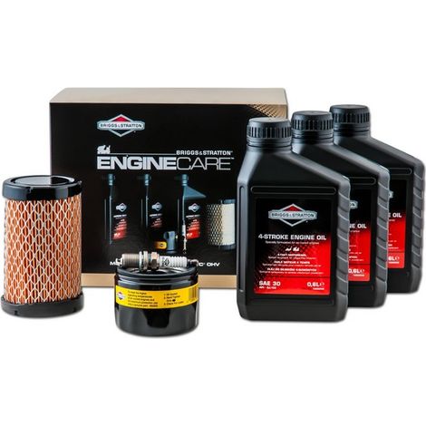 Kit D'entretien Pour Autoportées Série 4, Modèle 31 Briggs & Stratton. Composé De Trois Bidons D'huile De 0,6 L Sae30, D'un Filt