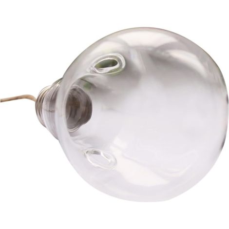 Vase suspendu en verre borosilicate forme d'ampoule avec guirlandes lumineuses (1/5)
