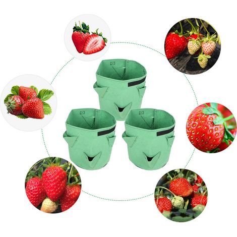 Bolsas de fieltro para plantar fresas con 6 agujeros – 3 unidades – 26 l (7 galones) – Verde – Bolsas de plantación multifuncionales y reutilizables para el jardín (1/5)
