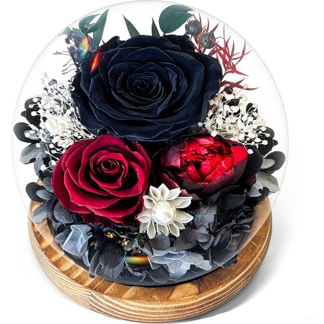 Rose Noire Éternelle sous Cloche avec Lumière - Fleurs Préservées dans Son Écrin Cadeau - Idée Cadeaux pour Femmes, Maman, Grands-Mères, Petit-ami, Cadeau Noel, Saint-Valentin (1/5)