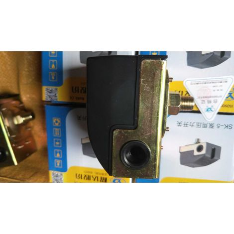 Pressure switch for domestic water pump, jet pump, Yaoda SK-5 spray pump pressure switch, mechanical pressure switch (1/5)