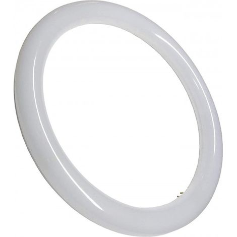 Tubo Circular LED G10q 20W 2100 lm 6400K – Luz Fría de Alto Rendimiento ✨ (1/3)