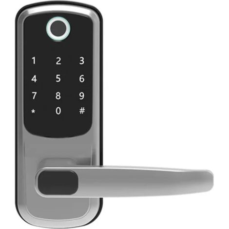 Serrure de Porte Intelligente électronique, avec Empreinte biométrique, Mot de Passe, Carte Intelligente, déverrouillage par clé, Chargeur d'urgence USB(Silver) (1/5)