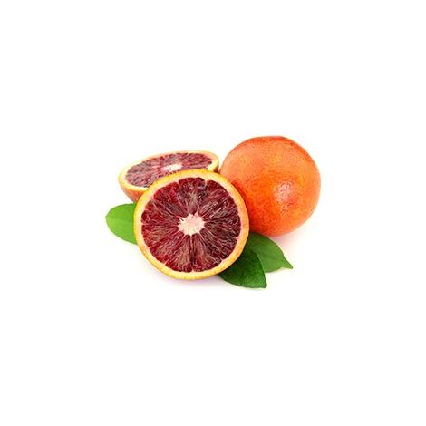 Pianta di Arancio moro in vaso 24cm