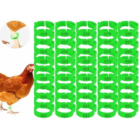 LAN Lot de 100 Anneaux pour Pieds de Poulet avec Étiquette Numérique Boucle Bague Réglables pour Jambe de Poulet,Oiseaux,Pigeons,Pinces à Oiseaux,Chevilles,Bandes de Jambe de Caille,Bandes (vert)