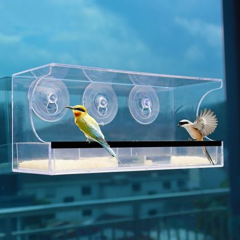 Bird Feeder - Window Mount - Transparent Acrylic - Drainage Holes - For Small Garden Birds - 1 Piece (1/5)