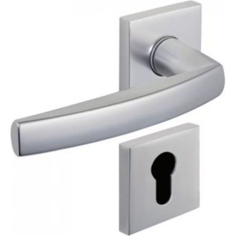 Ensemble sur rosace carrée CITYZEN 6421 anodinox clé I - VACHETTE - 080234