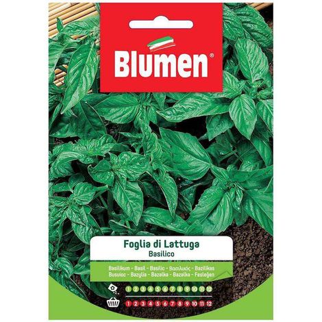 SEMI BASILICO FOGLIA LATTUGA (1/2)