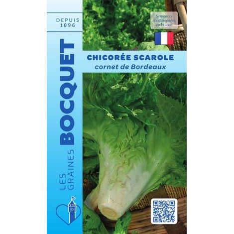 Chicorée scarole cornet de Bordeaux - 4g