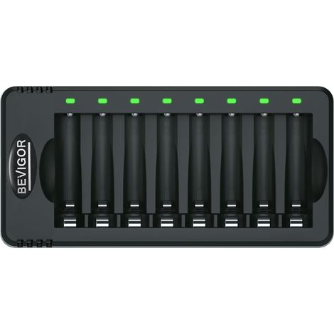 Chargeur De Piles 8 Slots pour Batteries NiMH Rechargeables, Charge Rapide, Piles Non Incluses (1/5)