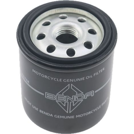 Élément de filtre à huile Benda Kingjala 350 BD350-15A/B, élément de filtre à huile pour moto, équipement d'origine. (1/5)