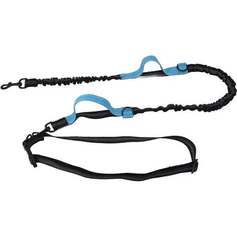 Laisse réfléchissante rétractable, portable et réglable pour chiens (bleue) (1/5)
