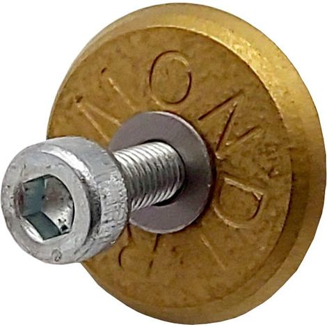 Molette avec axe pour rail Raizor RAIMONDI (1/3)