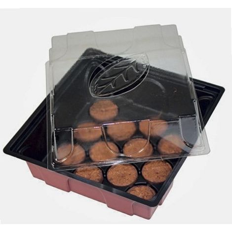 Serre avec 12 pastilles 19 x 19,5 x 11cm (1/5)