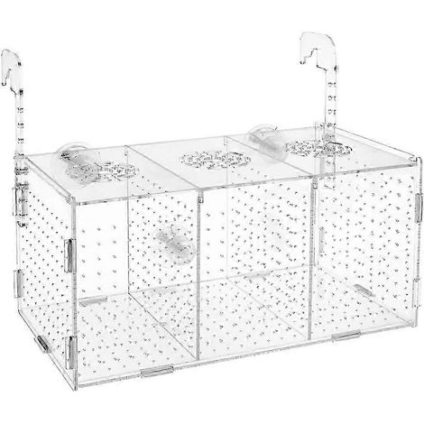 Boîte d'élevage d'alevins en acrylique transparent et antidérapant, incubateur multifonctionnel pour aquarium, boîte d'isolement pour aquarium (1/5)