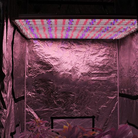 Tente de culture en toile Oxford, structure métallique, étanche et résistante à la moisissure, idéale pour les plantes d'intérieur, dimensions : 60 x 60 x 140 cm / 23,6 x 23,6 x 55,1 pouces (1/5)
