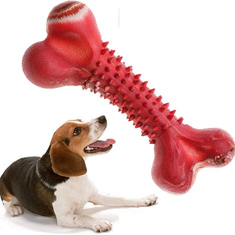 1 Jouet à mâcher pour chien, saveur bœuf, jouet interactif durable, pour races moyennes et grandes (1/5)