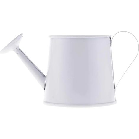 Petit arrosoir en fer vase pot de jardin couleur (1/5)