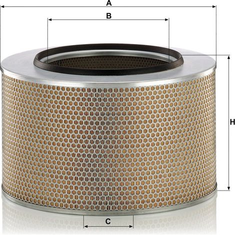 Filtre à air Mann Filter C42/1