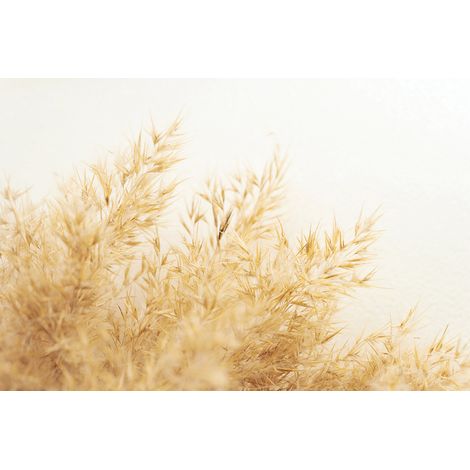Papier peint panoramique - Pampas - 130 cm x 87 cm (1/2)