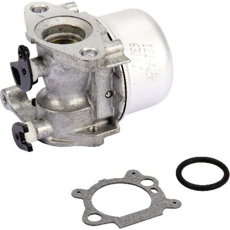 Carburateur BRIGGS ET STRATTON 799866 (1/7)