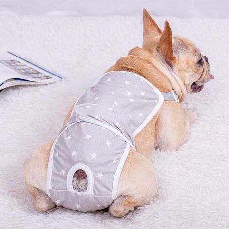 Culotte Sanitaire Pour Chien - Coton Respirant - Bretelles Réglables - Tailles M et L - Pour Chiennes en Chaleur ou Incontinentes (1/5)
