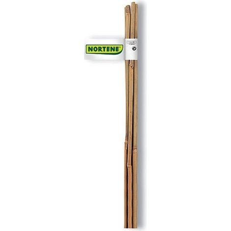 Tuteur Bambou 180cm D12/14mmx - Nortene (1/2)