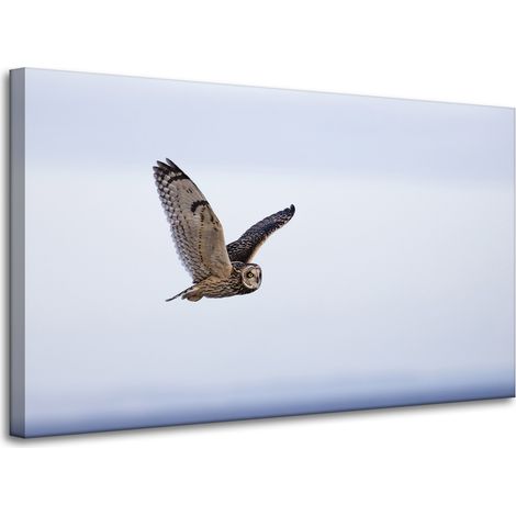 Lienzo impreso con la imagen de un búho en vuelo, 100x60 cm.