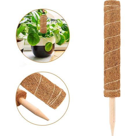 Tuteur en fibre de coco, support pour plantes, base pointue robuste, 50 cm, lot de 2 (1/5)