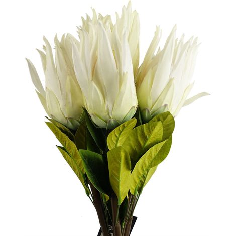 Pack of 6 x 65cm Protea Sugarbush Flower Stem - White (1/5)