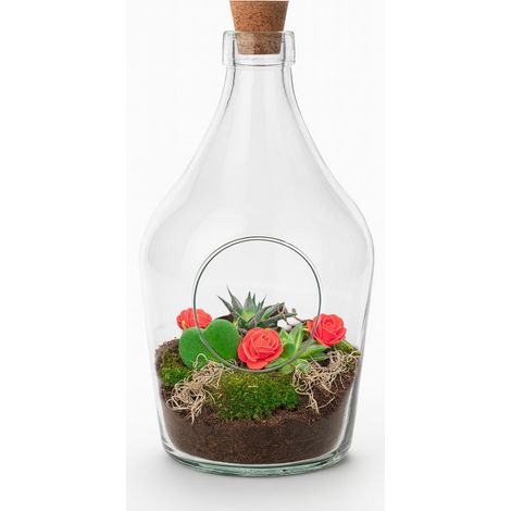 Terrarium de Plantes DIY Ouvert avec Bouchon Liège Hoya Kerrii et Succulentes Ø 16 cm x 30 cm - PANGIVO (1/4)