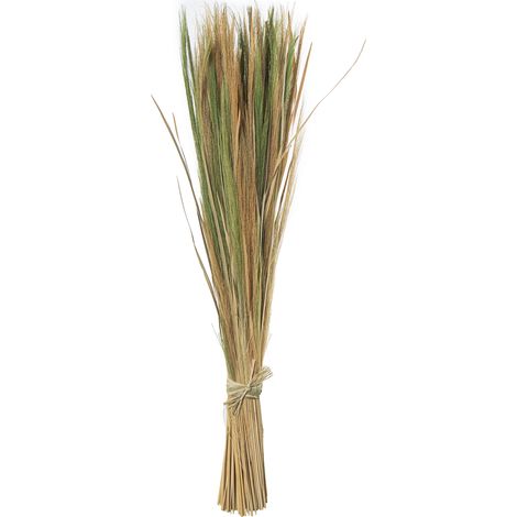 Bouquet de feuilles d'herbe naturelle 100 cm (1/4)