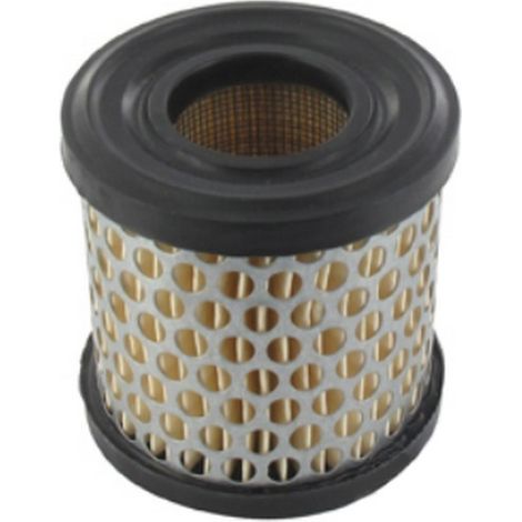 Filtre à air moteur Briggs et Stratton - 392308