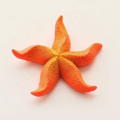 TrAdE Shop Traesio - Stella Marina Artificiale In Resina Per Decorazioni Acquario Corallo Finto 7x7cm - (1/2)