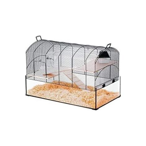 Zolux – Cage pour gerbilles Neo Panas XL – Habitat spacieux 71x41x48 cm – Bac en verre facile à nettoyer – 2 étages avec rampes en bois