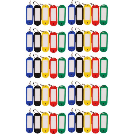 Lot de 50 étiquettes porte-clés multicolores assorties, anneaux de couleur unie pour classification (1/5)