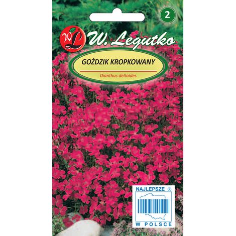 Semillas de clavel rojo carmín moteado (1/2)