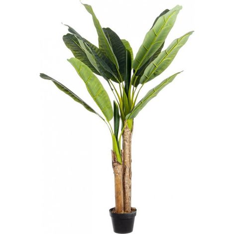 Set 2 Piante con Vaso Plastica Verde da Interno H135 cm - ZENITALE (1/4)