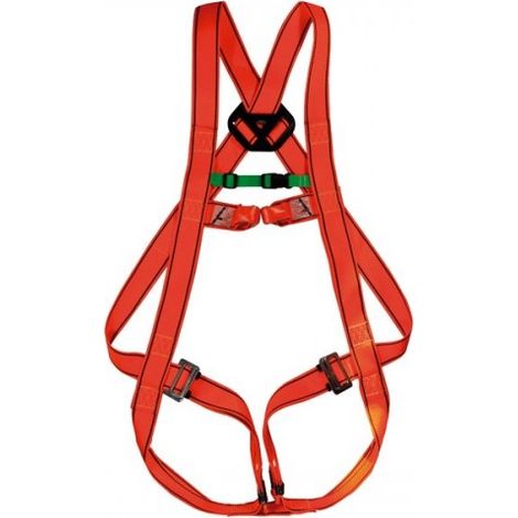 ARNES NO. 30-C - CLIMAX