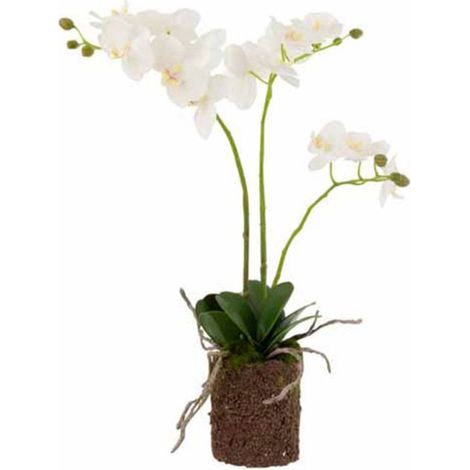 Fleur Artificielle Déco "Orchidée en Terre" 54cm Blanc (1/2)
