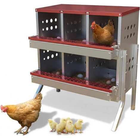 LUNSY - Pondoir Poule 6 Compartiments Acier Galvanisé (Rouge), Collecte Œufs Automatique Anti-Casse, Toit Incliné, Montage Sans Outil (Rouge) (1/5)