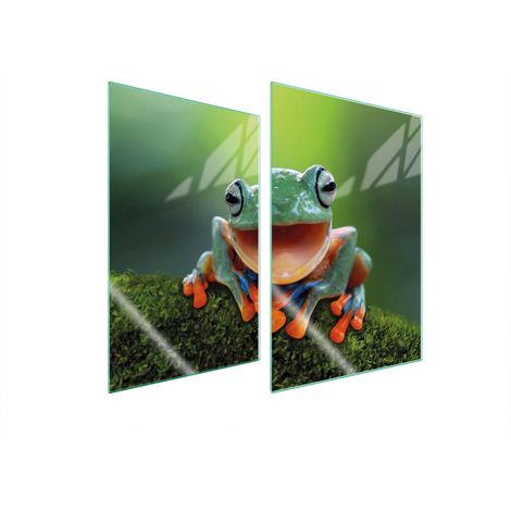 GLASSCHUTZPLATTE FÜR KÜCHE 2x35x52 FROSCH (1/5)
