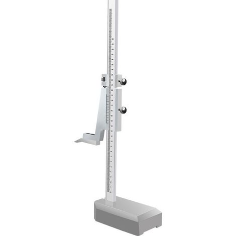 Pied à coulisse Altitude 0-300mm altimètre Vernier en acier inoxydable avec outil de règle de mesure verticale 1 pièces