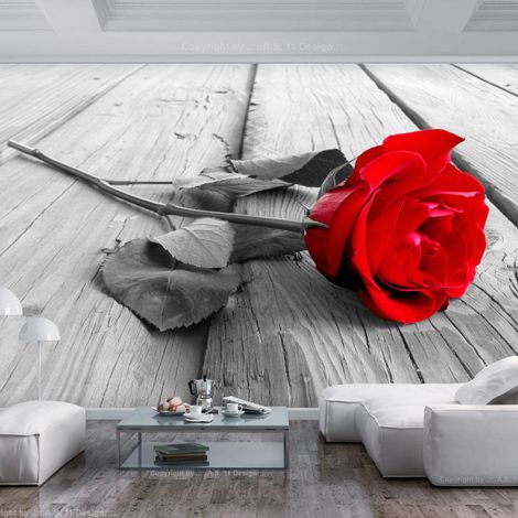 Papier Peint "Abandoned Rose" 280 x 400 cm (1/2)