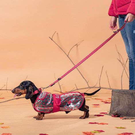 MINNIE - IMPERMÉABLE POUR CHIEN - M CERDA 2800000752